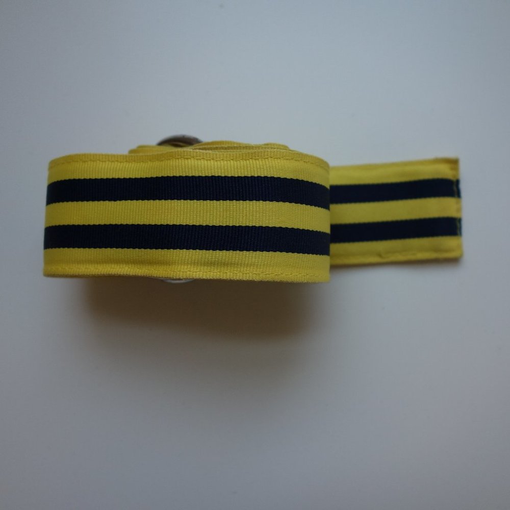 J. Crew Preppy Ribbon D-Ring Belt - Yellow/Navy - Small/Medium